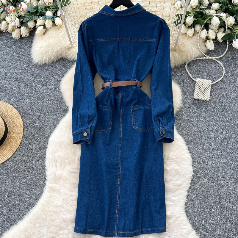 Elegant Women's Denim Dress So – Women Fashion Jeans Bewertung und Preis